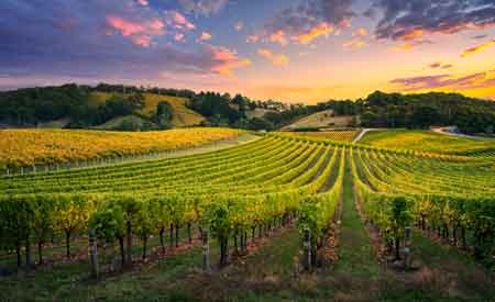 hamptons bachelorette winery tour